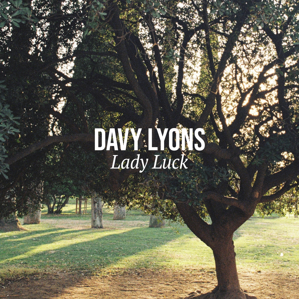 Davy Lyons – Lady Luck